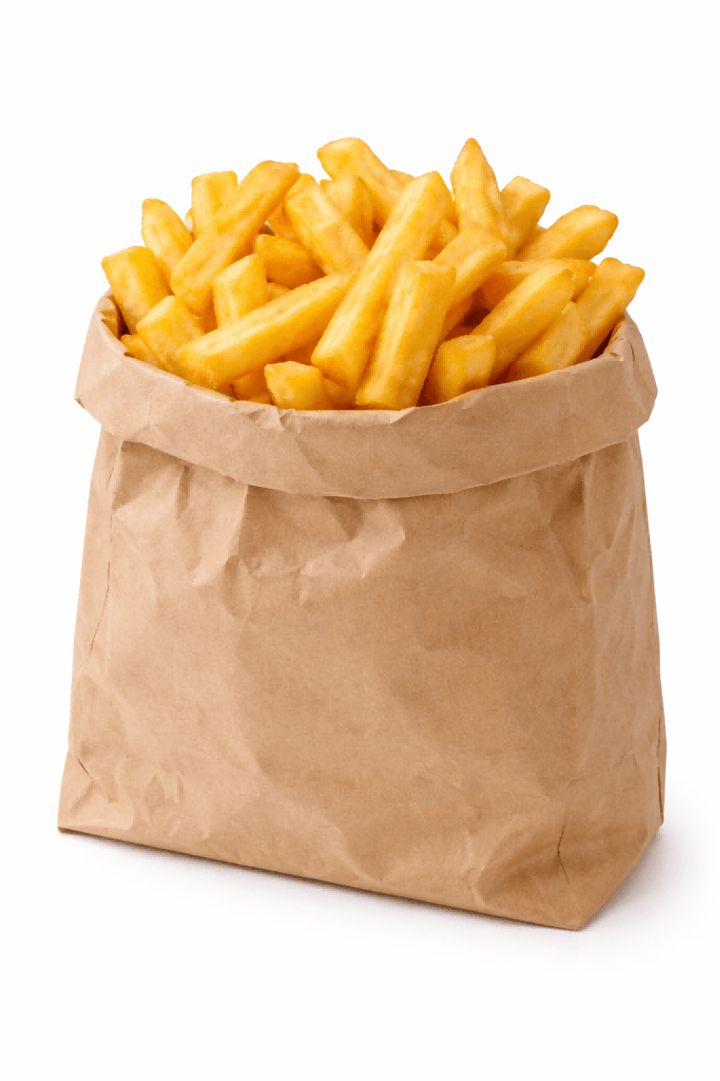Gezinszak frites